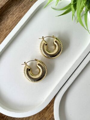 Nina anti tarnish earrings